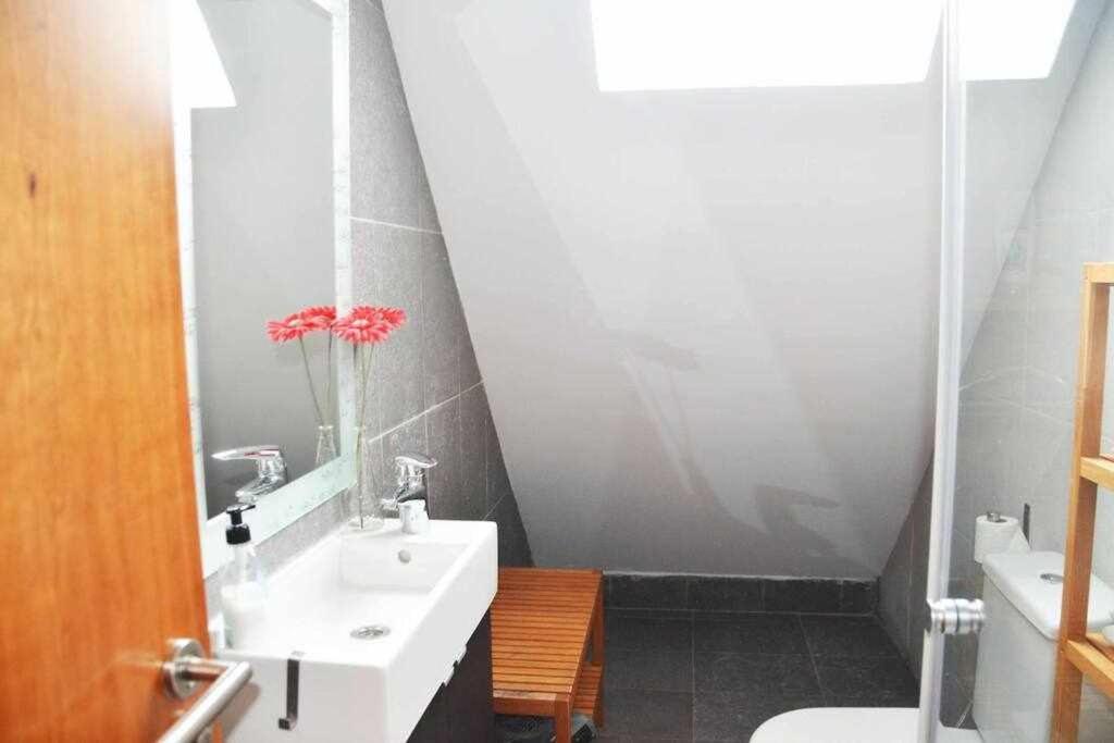 Apartment Nevada Estudio Con Garaje En Edif Serraneu